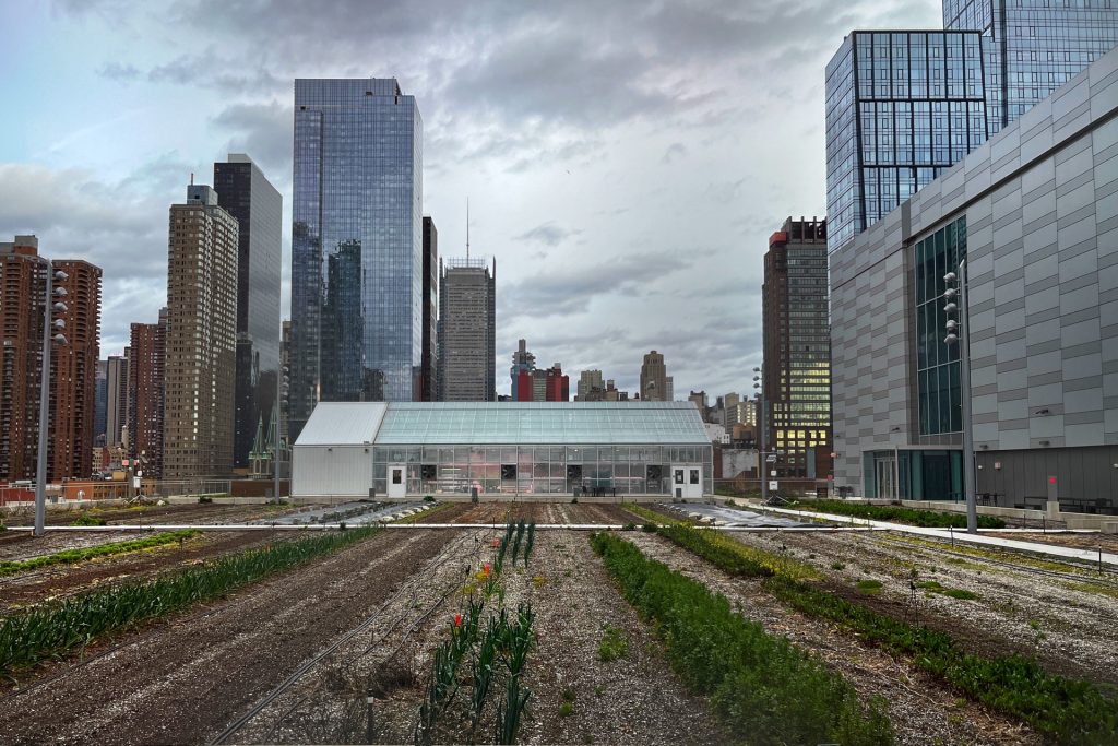 Farm auf dem Dach des New Yorker Messezentrums Javits Center